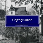 Grijzegrubben