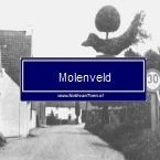 Moelenveld